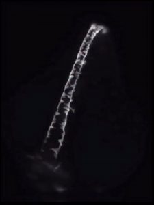a 16-hour timelapse of an embryo forming its spinal cord.