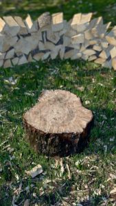 3D scanned my stump and axe and made a satisfying firewood splitting simulator