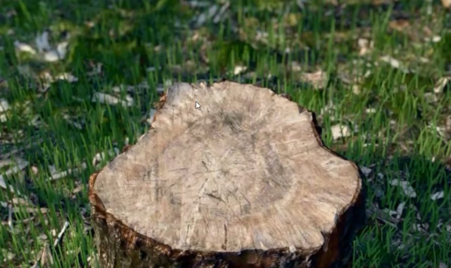 3D scanned my stump and axe and made a satisfying firewood splitting simulator