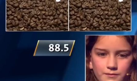 9 year old with eagle eyes can spot the slightest differences in two almost identical pics