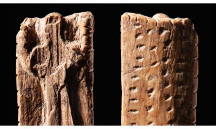 A 40,000–50,000-year-old ivory object found in Germany features markings that might be an early form of writing. Scientists believe the markings don’t represent spoken words but carry some sort of meaning or information and aren’t merely decorative.