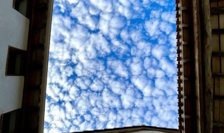 A Picture of The Sky