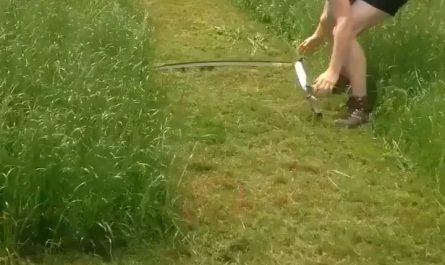 A Scythe in action