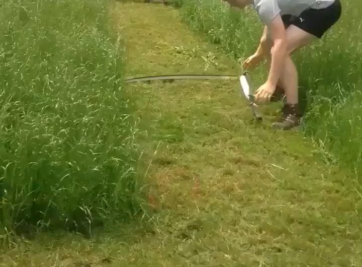 A Scythe in action