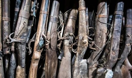 A collection of homemade rifles, shotguns, and muskets, crafted from scrap metal for poaching, was seized across various African national parks.