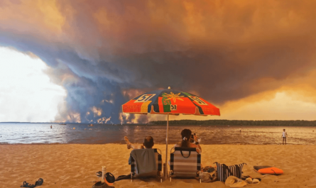 A couple in deep contemplation of the fire ravaging Cap Ferret, France