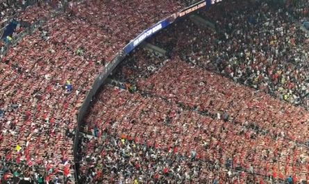 A high angle view of the Norway fan Viking row