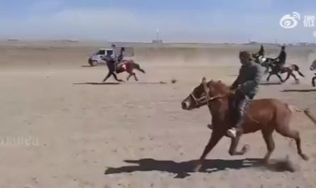 A horse that has mastered a unique running style and is galloping at full speed