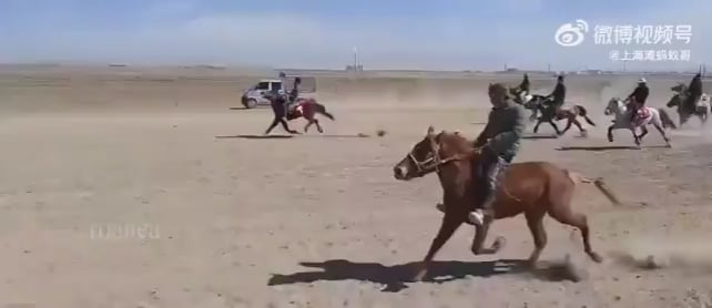 A horse that has mastered a unique running style and is galloping at full speed