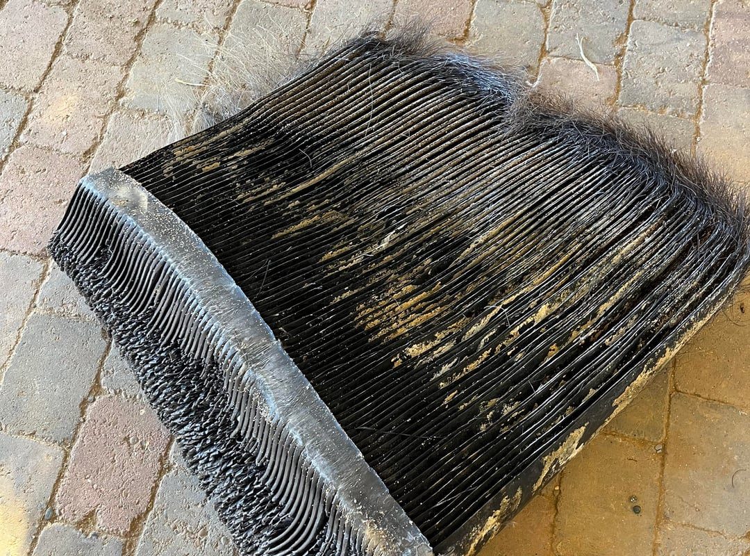 A huge chunk of whale baleen found at the shore (legal to keep here in Iceland)