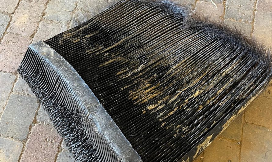 A huge chunk of whale baleen found at the shore (legal to keep here in Iceland)