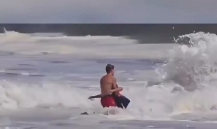 A lifeguard battled massive waves on a California beach to save a young boy caught in a rip current