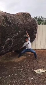 A man spent 6 years carving an underwater world inside a huge tree