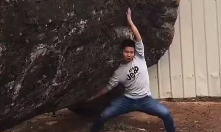 A man spent 6 years carving an underwater world inside a huge tree