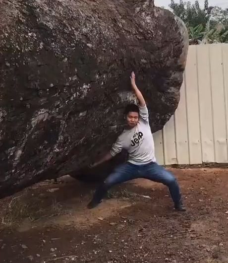 A man spent 6 years carving an underwater world inside a huge tree