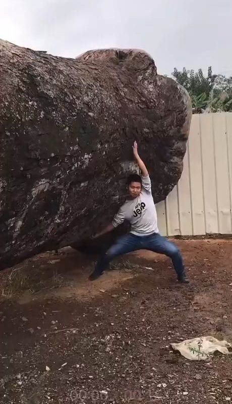 A man spent 6 years carving an underwater world inside a huge tree