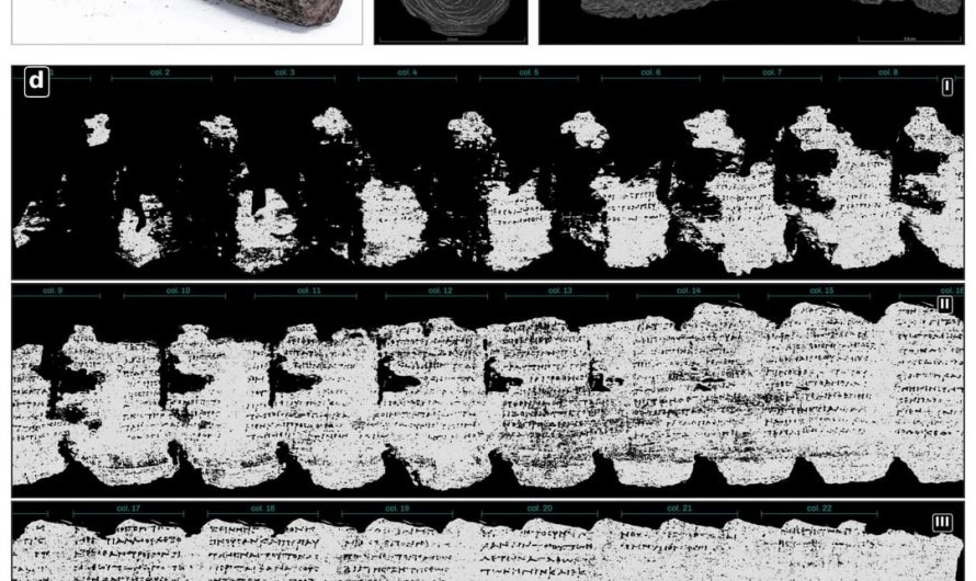 A number of the Herculaneum papyri, discovered in the library of a roman Villa that was destroyed in the Vesuvius eruption, were tossed away in the 19th century because people mistook them for pieces of burned charcoal. Scientists have now managed to digitally unwrap and read them