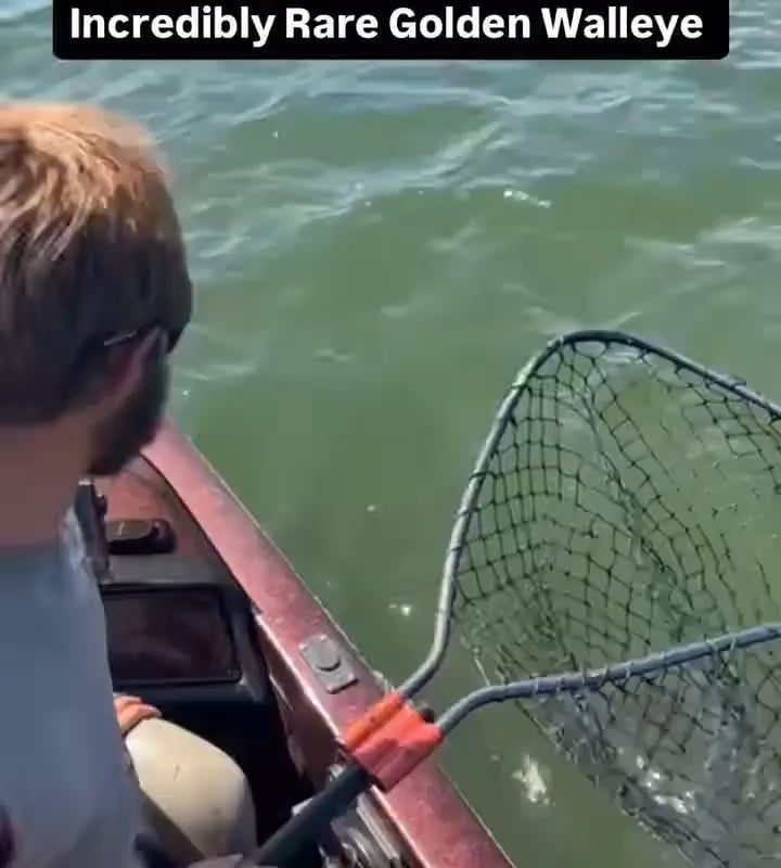 A rare Golden Walleye caught by Ethan Bear