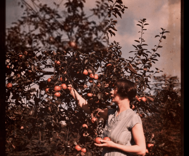 A short lived color format: Dufaycolor. It took principes from the autochrome process and tried to improve it. First used on film in 1932, then for photo in 1935. Was not able to compete  with Kodachrome and Agfachrome and ended in the 1950s.