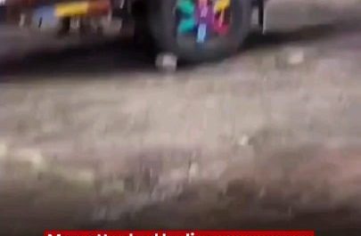 A terrifying wildlife encounter in Gujarat, India ended in a miraculous escape after a man survived nearly 30 minutes pinned beneath a lioness by remaining calm and gently petting the animal until it finally walked away