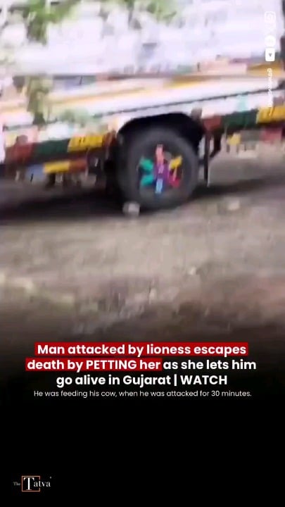 A terrifying wildlife encounter in Gujarat, India ended in a miraculous escape after a man survived nearly 30 minutes pinned beneath a lioness by remaining calm and gently petting the animal until it finally walked away