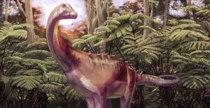 Amazing fossil discovery