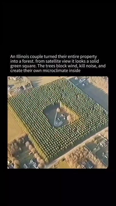 An Illinois couple transformed their open, windswept farmland into a dense private forest