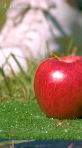 An Iron to an Apple - Slow Motion Footage