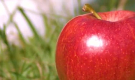 An Iron to an Apple - Slow Motion Footage