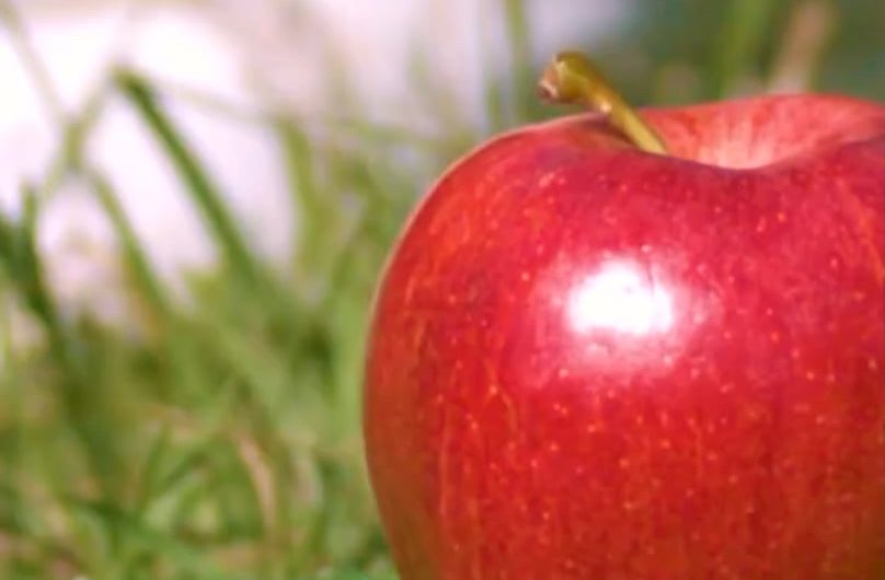 An Iron to an Apple – Slow Motion Footage