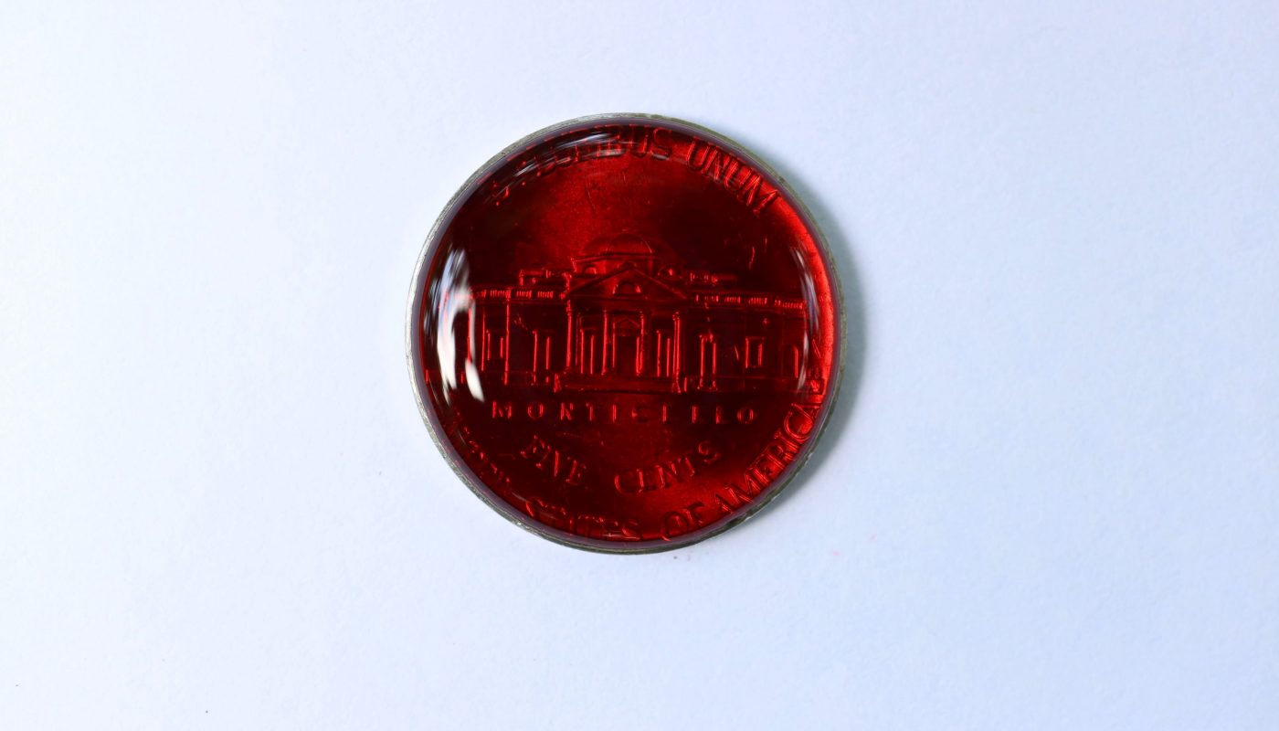 An ant fills itself up on red sugar syrup