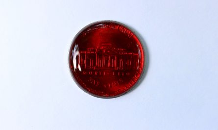 An ant fills itself up on red sugar syrup