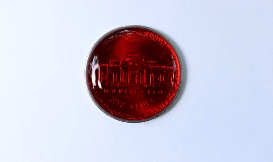An ant fills itself up on red sugar syrup