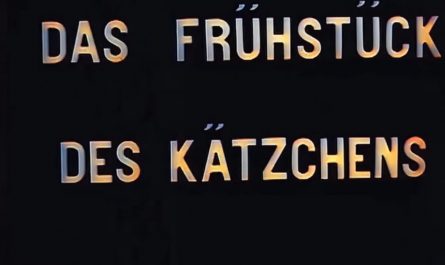 An early film from 1906, possibly a milestone in the development of human culture, it is considered the first cat video in history. Titled *Frühstück des Kätzchens*( breakfast for the kitten) , this short movie was made in Germany in 1906. As of today, YouTube has more than one billion cat videos.