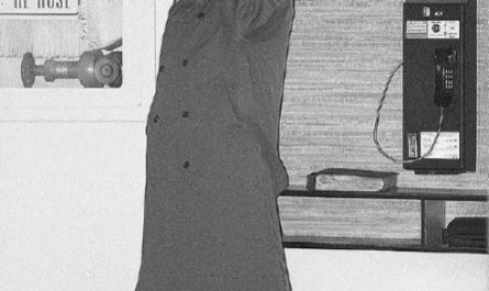 Below is Salim Kara. Using a rod made of a car antenna and a magnet, and over a 13 year period the transit technician stole $2m in coins from Edmonton train ticket machines. He posed as the owner of a vending machine operator to explain the 37 tons of coins he deposited over the period.