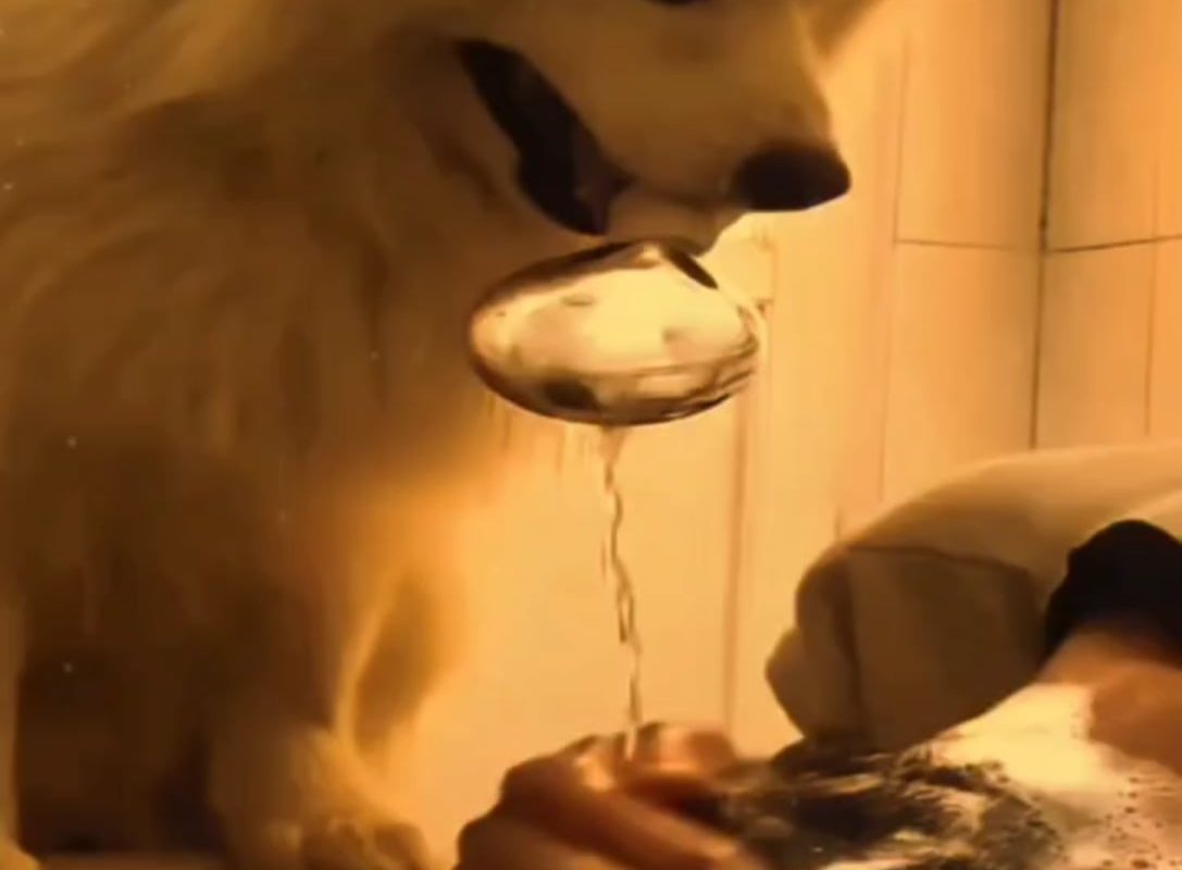 Bro skipped the instructions and chose chaos. 🐶🥄