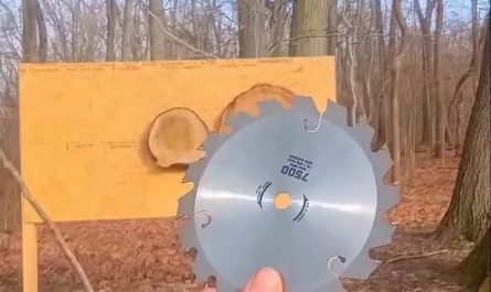 Bullseye Throwing Skills