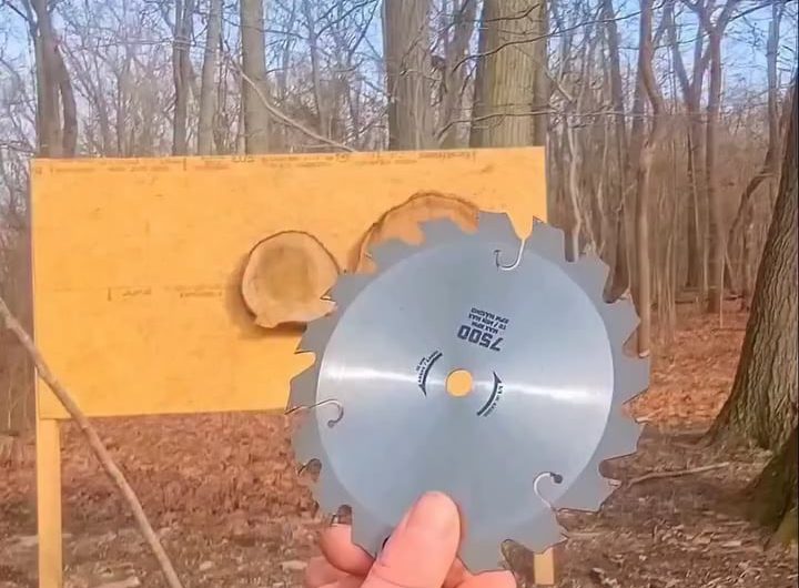 Bullseye Throwing Skills