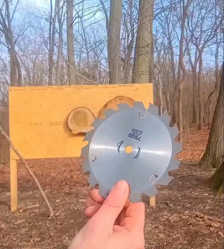 Bullseye Throwing Skills