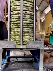 Cold pressed Olive oil