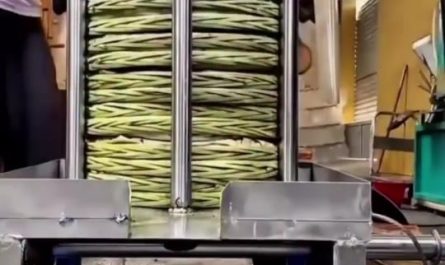 Cold pressed Olive oil