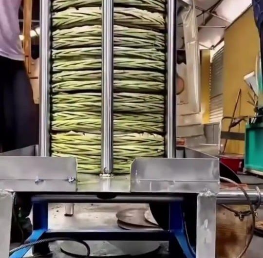 Cold pressed Olive oil