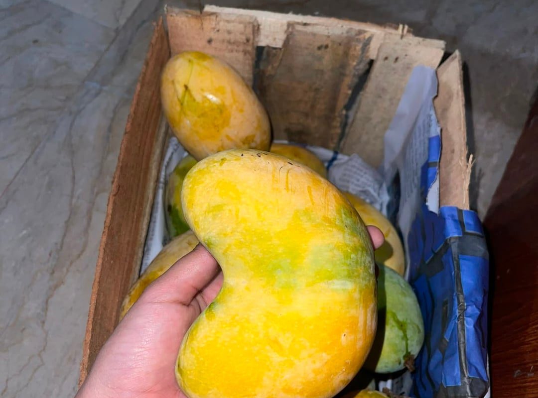 Conjoined Mangoes. Looks like a gaming controller 🎮.