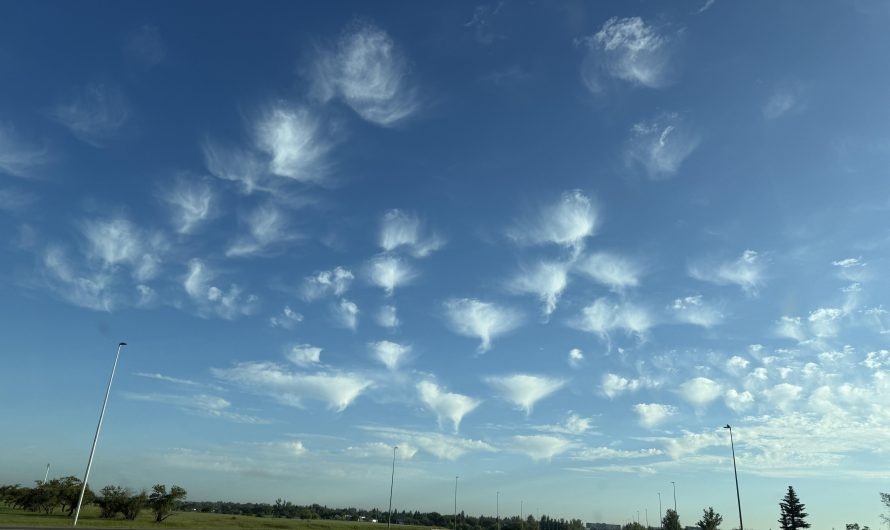 Cool cloud formation
