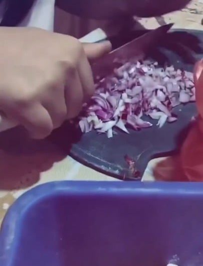 Curiosity killed the cat, but onions just made him rethink his life choices