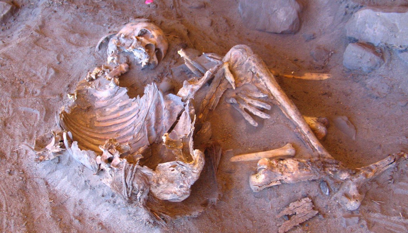 DNA from 7,000-year-old Takarkori Rockshelter mummies revealed a genetic "living fossil", a long-isolated 'ghost' human lineage that had barely changed for 40,000 years