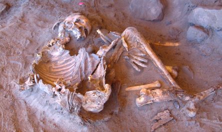 DNA from 7,000-year-old Takarkori Rockshelter mummies revealed a genetic "living fossil", a long-isolated 'ghost' human lineage that had barely changed for 40,000 years
