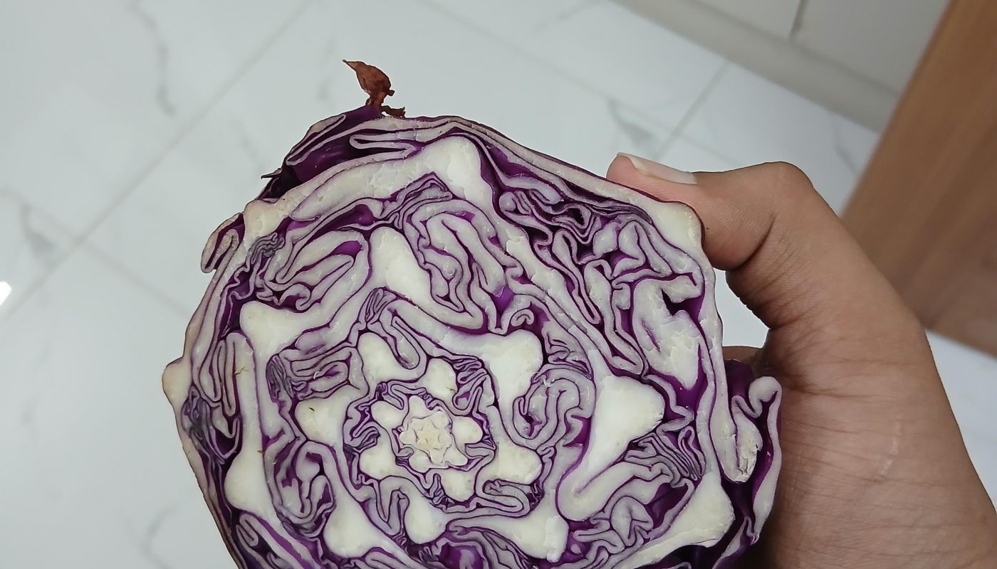 Damascus Cabbage 3.0