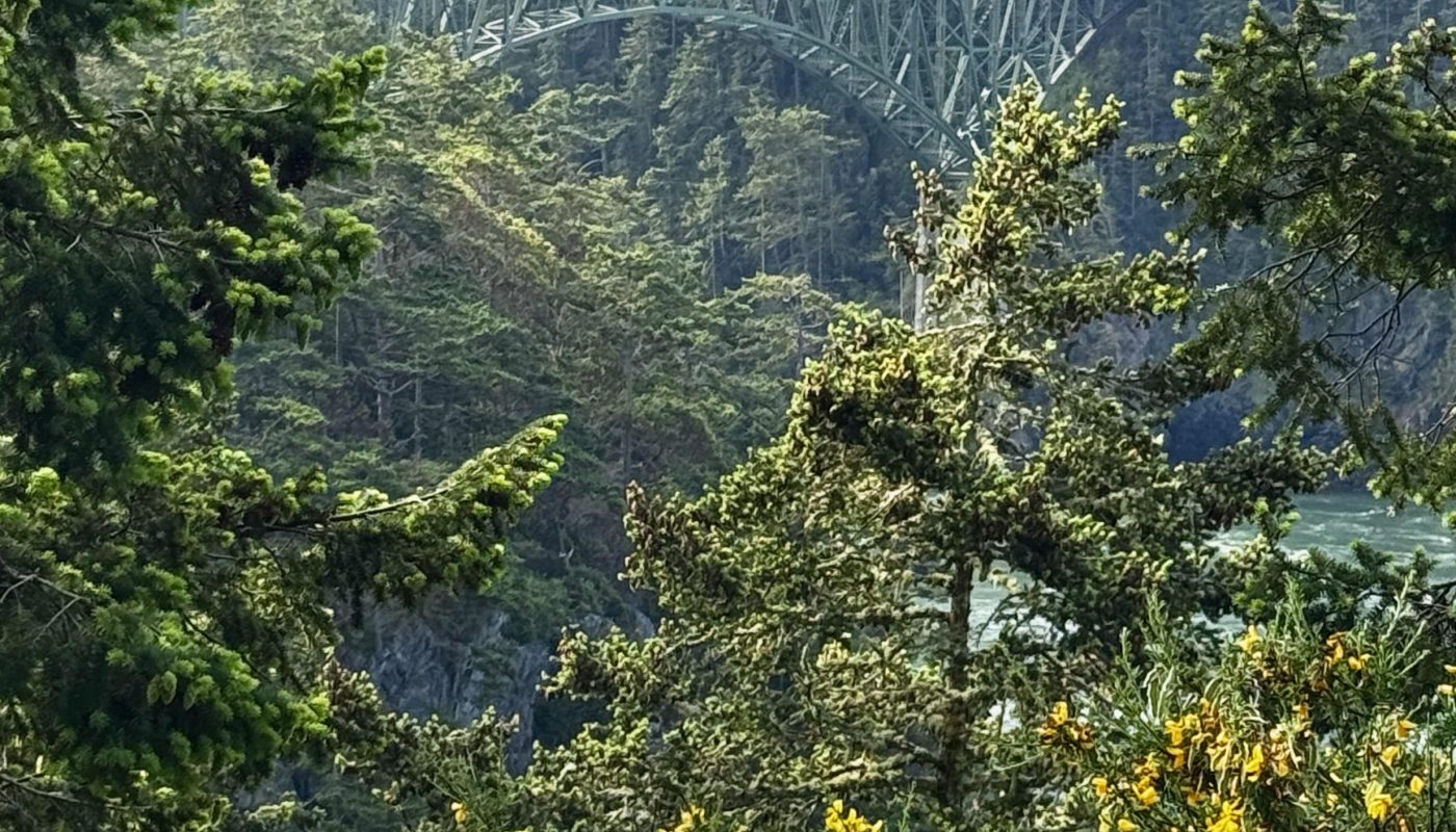 Deception Pass bridge in Washington