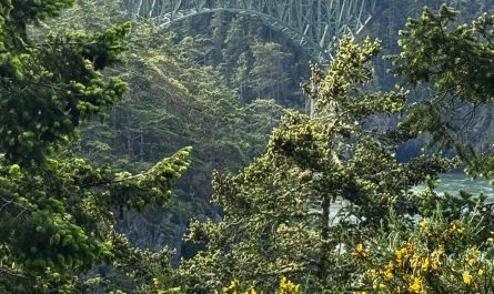 Deception Pass bridge in Washington